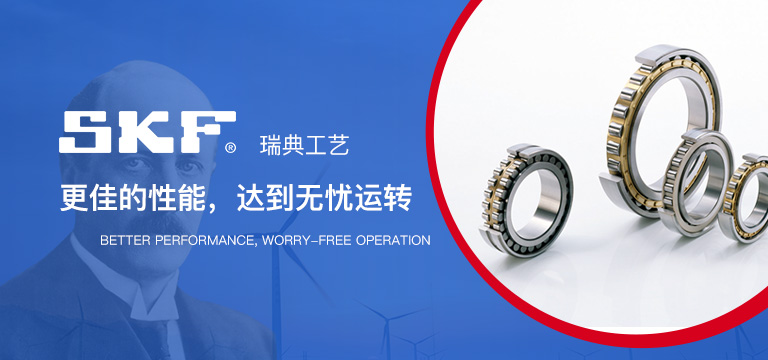 貝瑞霖(上海)軸承機(jī)電有限公司